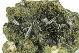 Lustrous, Epidote Crystal Cluster on Actinolite - Pakistan #257766-2